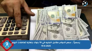 رسمياً.. سعر الدولار مقابل الجنيه في 10 بنوك بنهاية تعاملات اليوم 19-8-2025